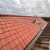 Stork Roofing