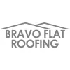 Bravo Roofing