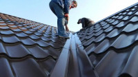 Roof Moss Removal